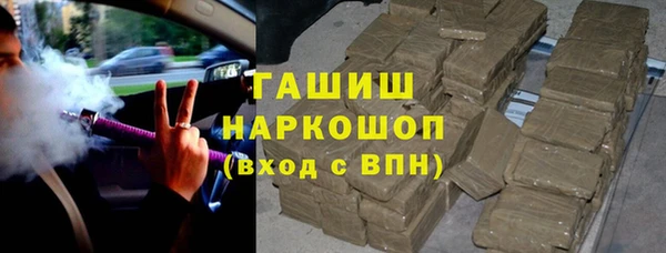 spice Богданович