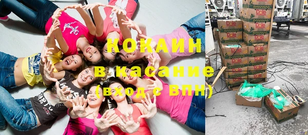 spice Богданович
