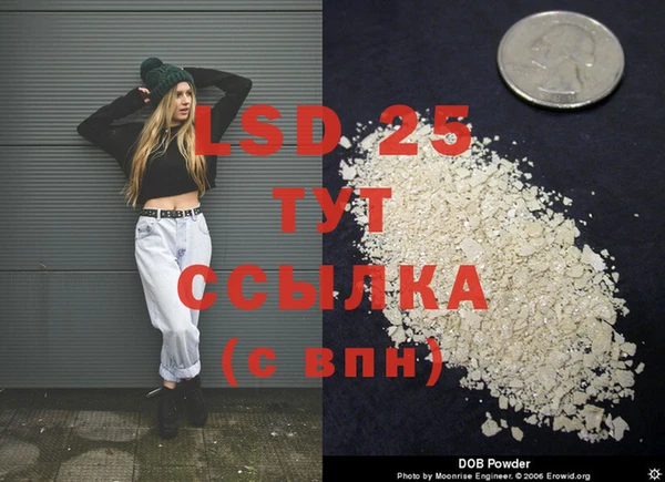 spice Богданович