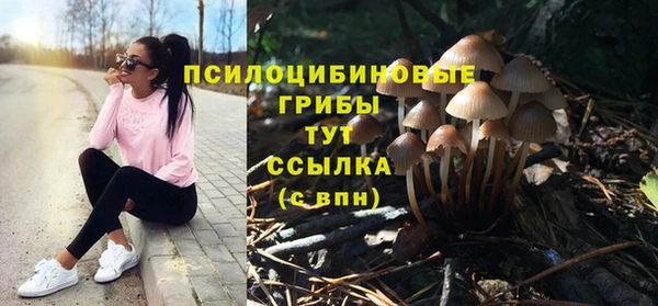не бодяженный Белокуриха