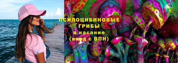 spice Богданович