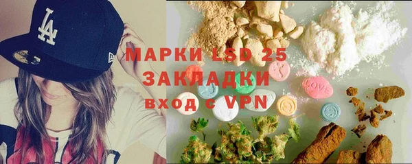 spice Богданович