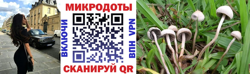 закладка Юрьевец Псилоцибиновые грибы мухоморы